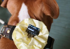 GPS Dog Collar – by Adafruit